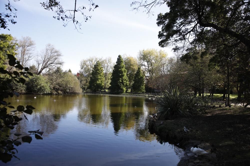 El parque Isabel la Católica supera las 600 aves