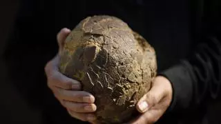 Encuentran huevos de dinosaurio en Francia que revelan una conexión con la Patagonia argentina