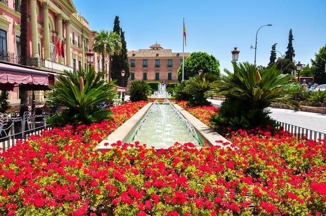 Plaza de Las Flores, Murcia