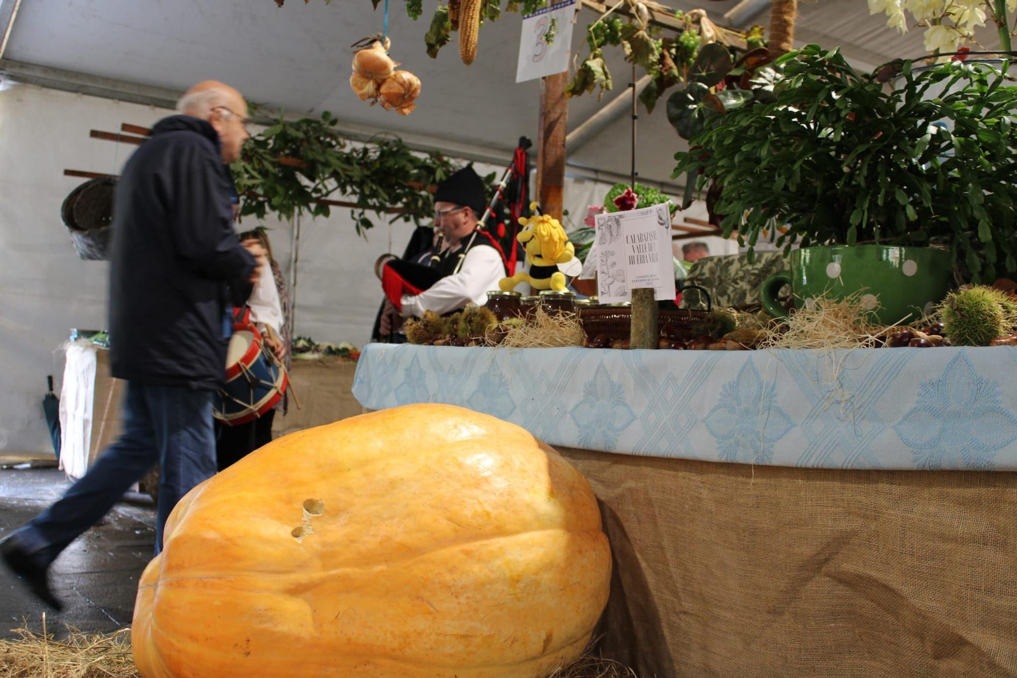 Sama celebra el III Certamen de la Huerta "Llangréu Natural"