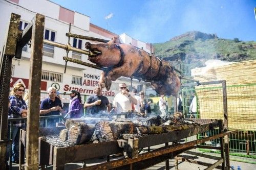 FIESTA TURISTA TENTENIGUADA