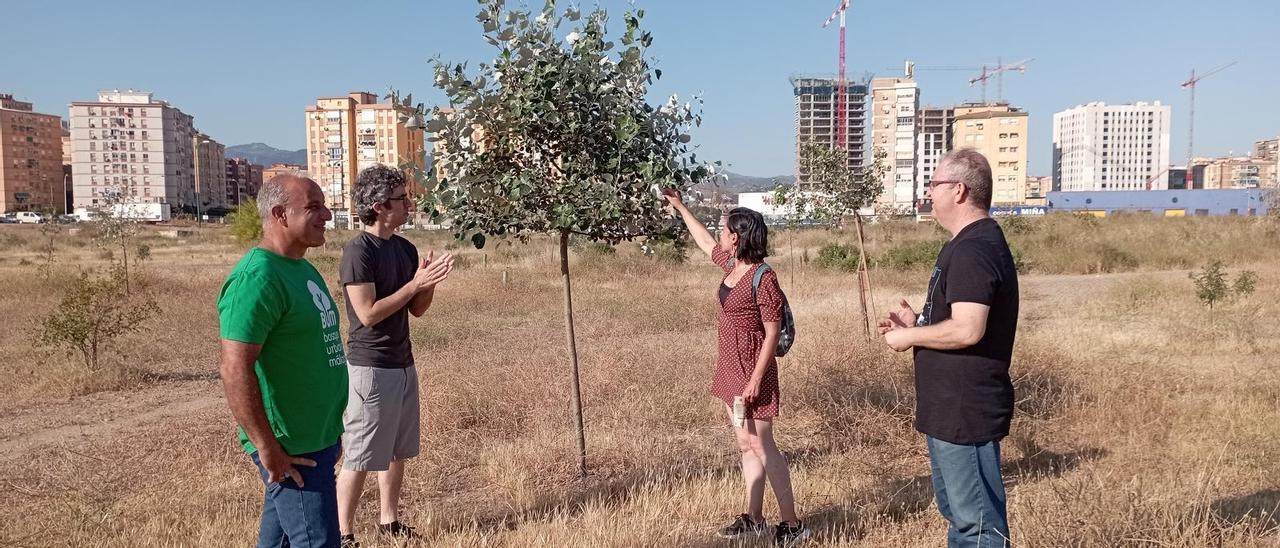 Responsables y portavoces de Bosque Urbano Málaga, el pasado miércoles en los antiguos terrenos de Repsol con uno de los 250 árboles que han plantado..