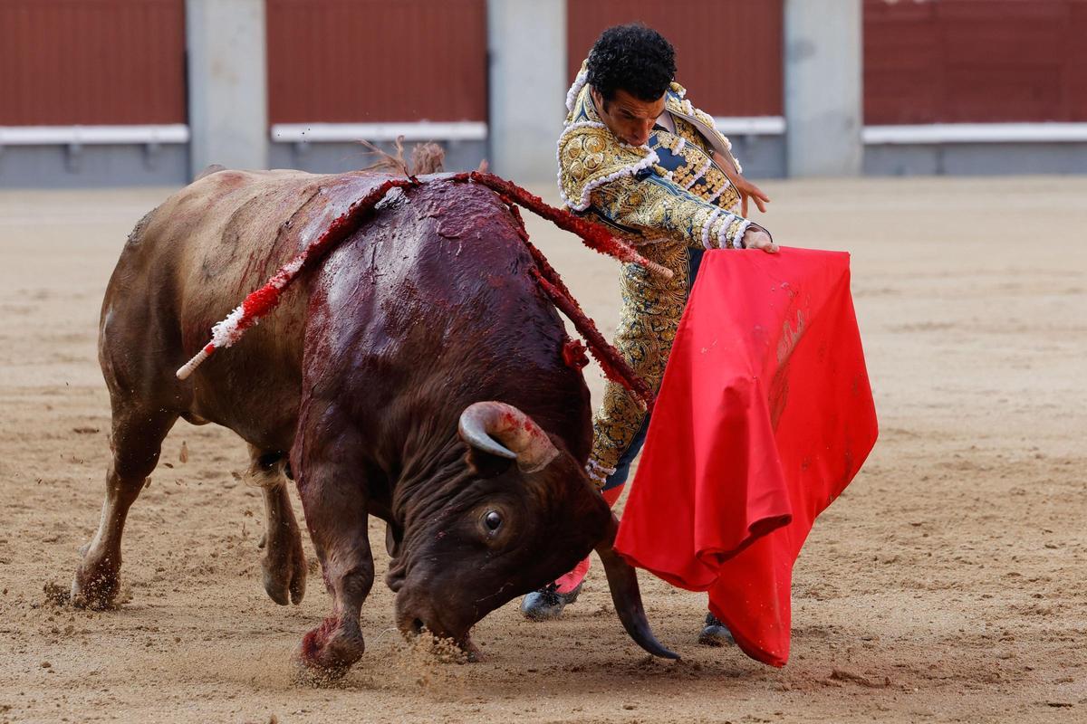 Morenito de Aranda da un pase a su primer astado