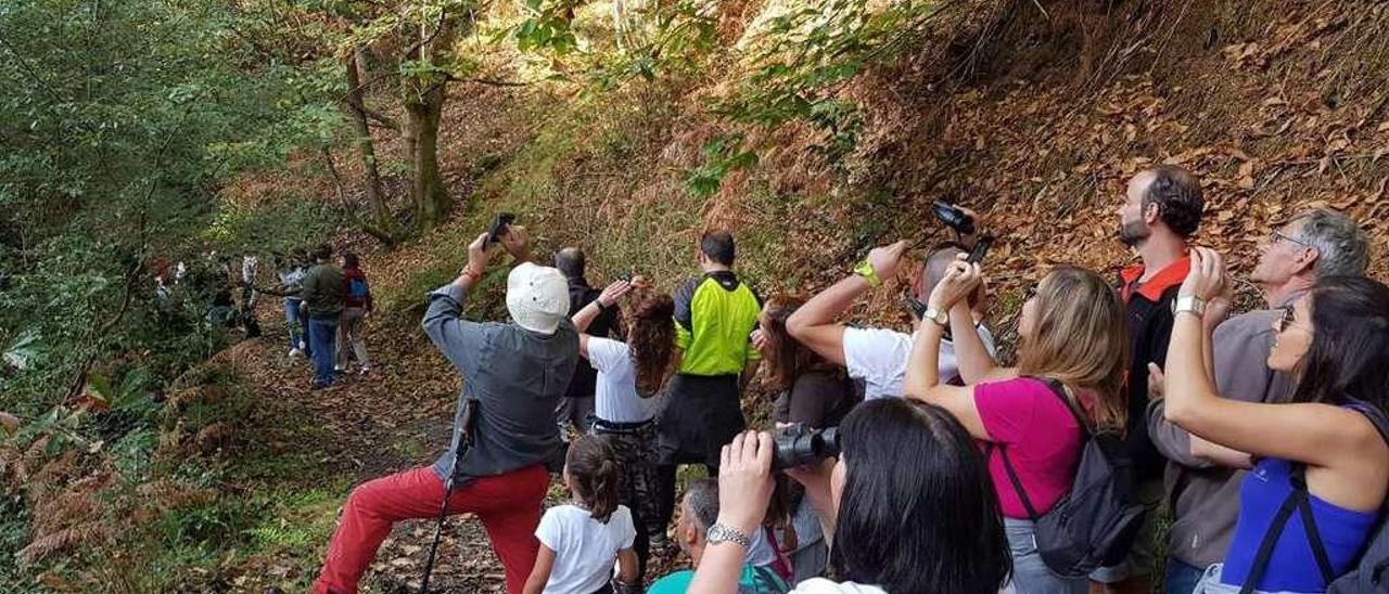 Participantes en la batida observando uno de los nidos localizados.