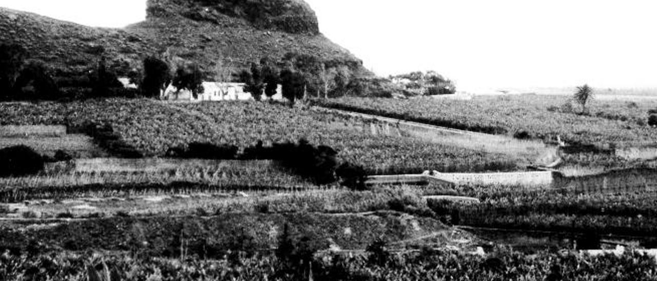 Agaete, huerto  de botánica y poema