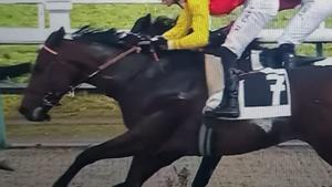 Duel a l’hipòdrom de París-Longchamp