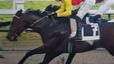 Duel a l’hipòdrom de París-Longchamp