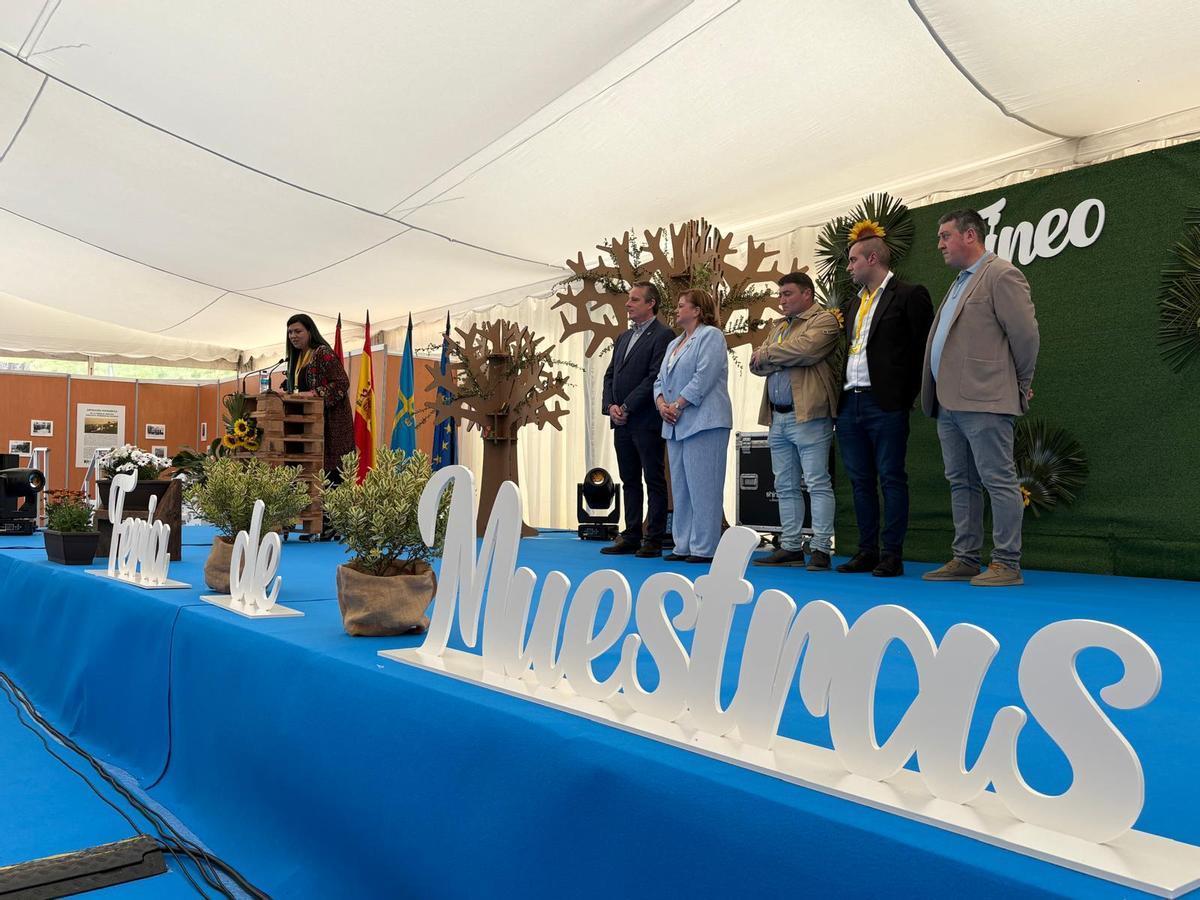 Lleno en el primer día de la Feria de Muestras de Tineo Lleno en el primer día de la Feria de Muestras de Tineo