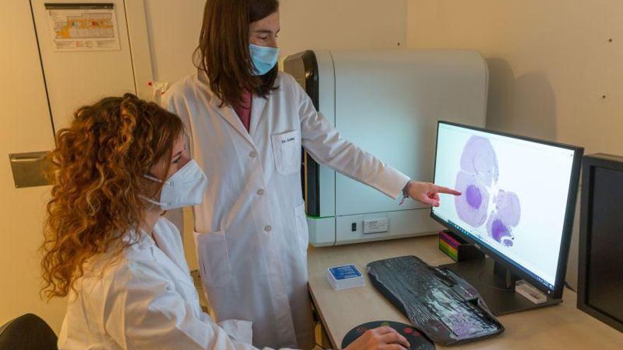 Aragón registra casi 8.600 casos de cáncer en el año de la pandemia