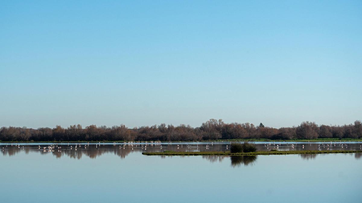 Parque de Doñana en enero de este 2024.