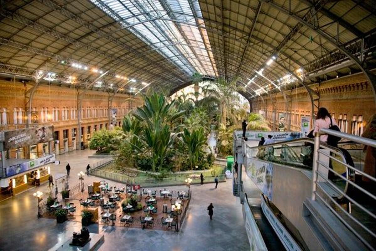Atocha, un jardín tropical en el corazón de Madrid