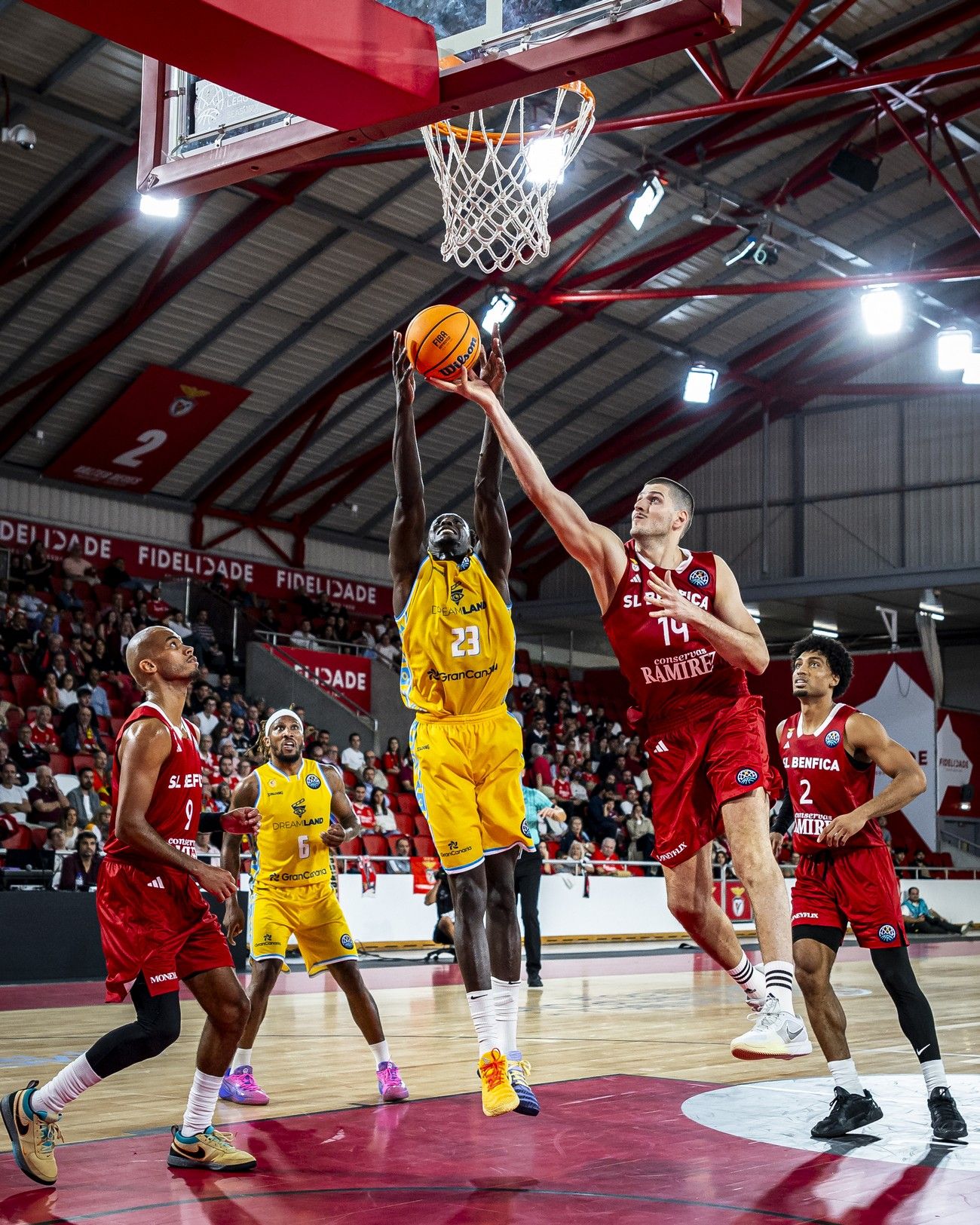 Champions League | Benfica - CB Gran Canaria