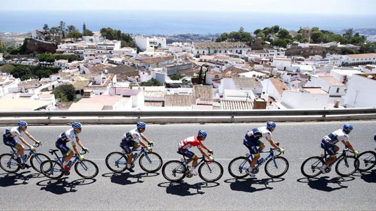 Ciclistas en una competición