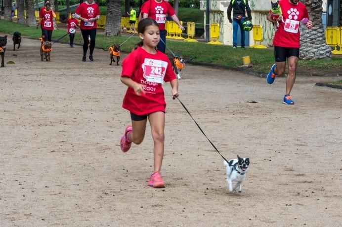 La Doggie Race, vista por José Fco. Fernández Belda