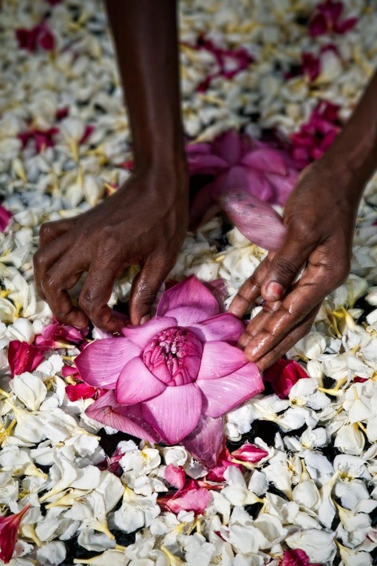 Detalle en un centro de ayurveda en Kerala.