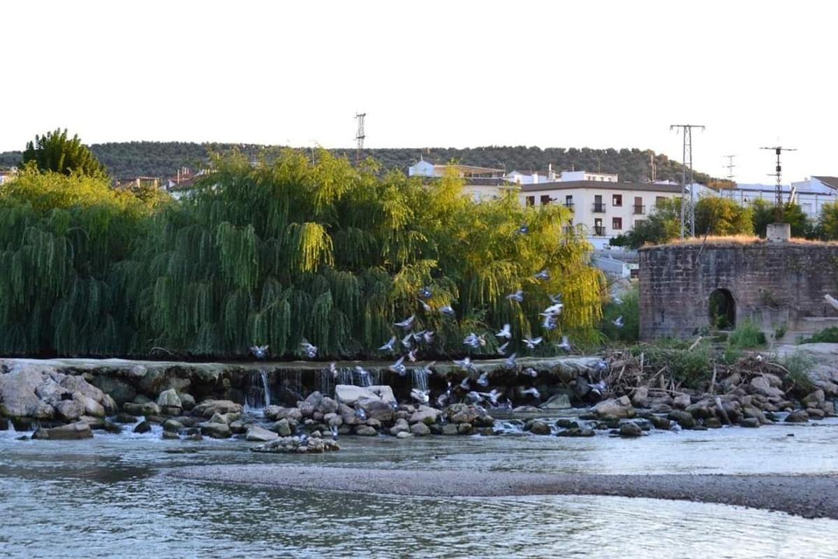 El río a su paso por Villa del Río.
