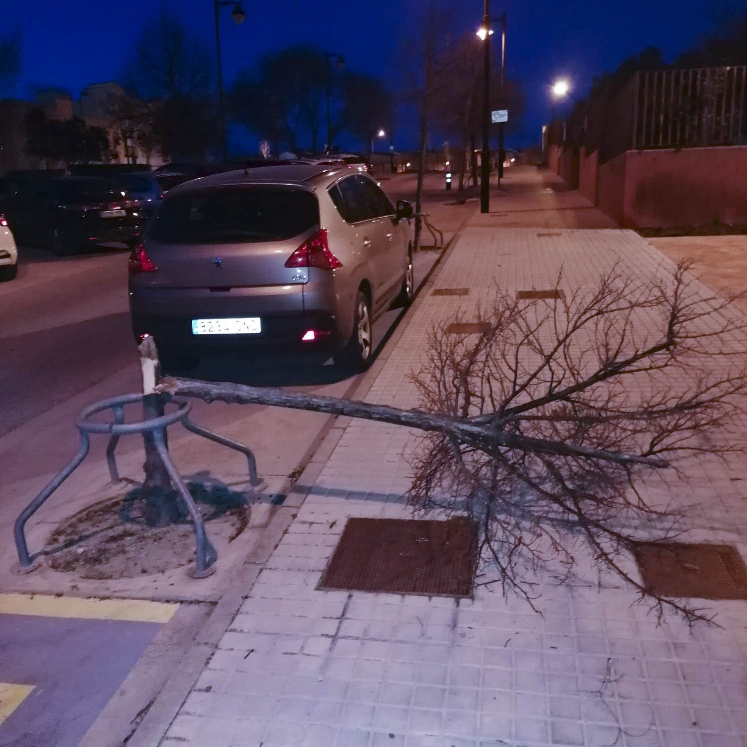 El viento causa varios incidentes en Xàtiva y Ontinyent