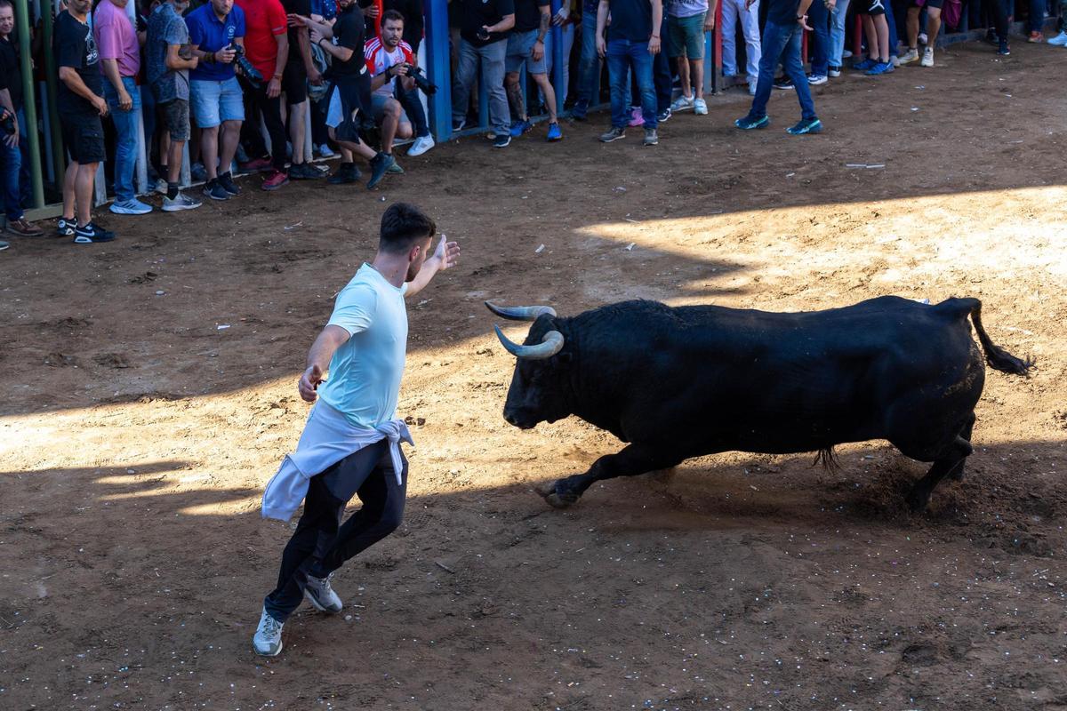 Los festejos taurinos volverán a ocupar un lugar central en las fiestas patronales de Santa Quitèria.