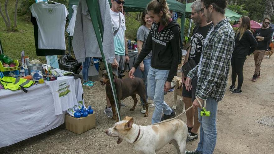 Elche estudia analizar las heces de los perros para multar a sus dueños