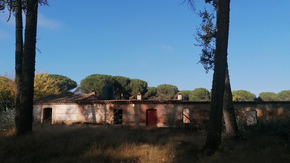 Casas del Pinar donde los vecinos organizan meriendas