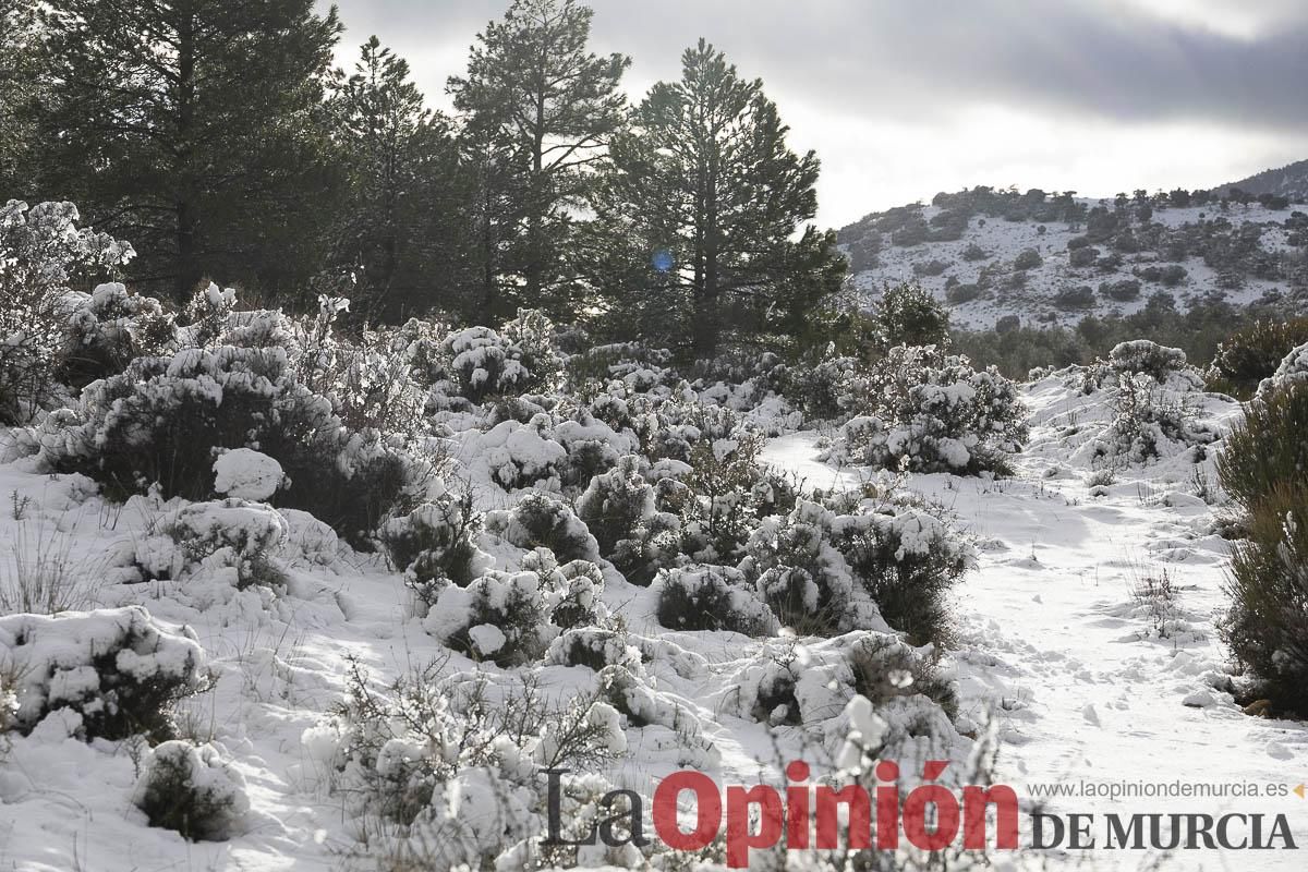 La borrasca Herminia tiñe de blanco la cima de la Región de Murcia