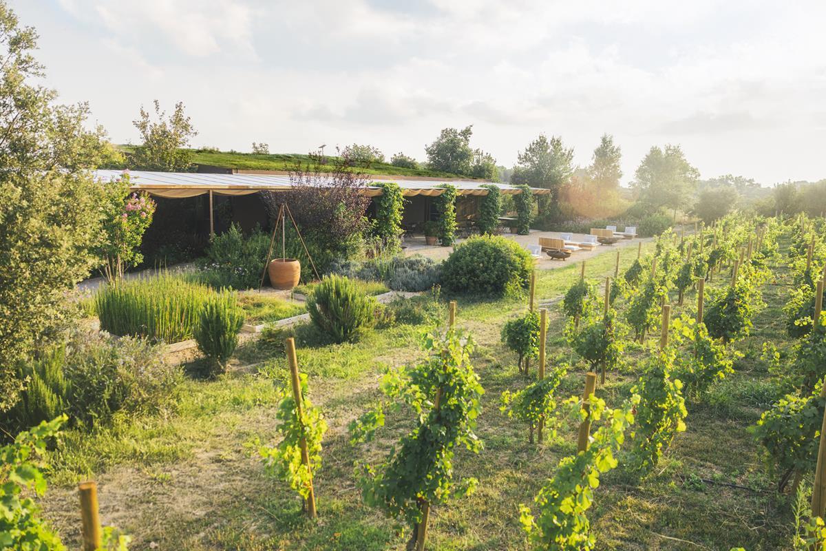 L'exterior del celler Clos de Basella.