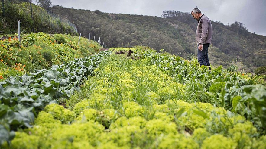 The insular opposition calls for investments and generational change in the countryside and the sea