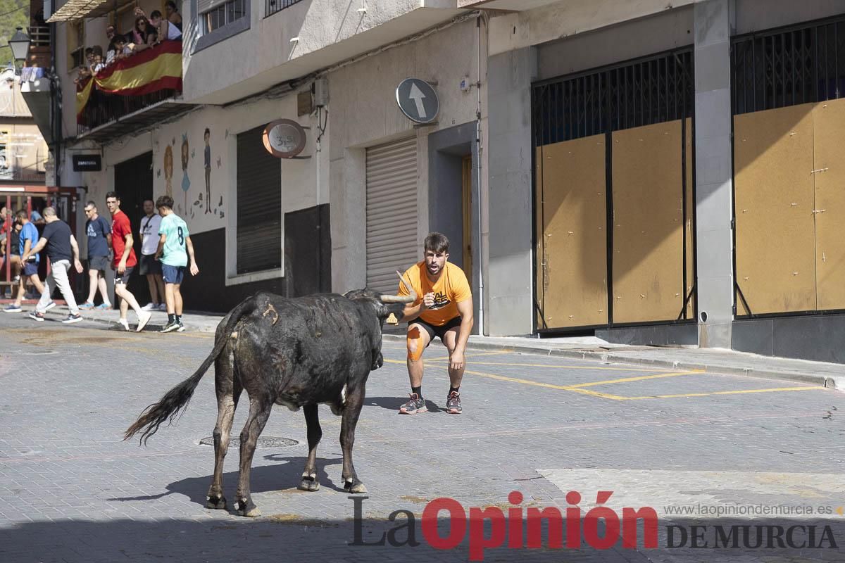 Cuarto encierro en las Fiestas de Moratalla