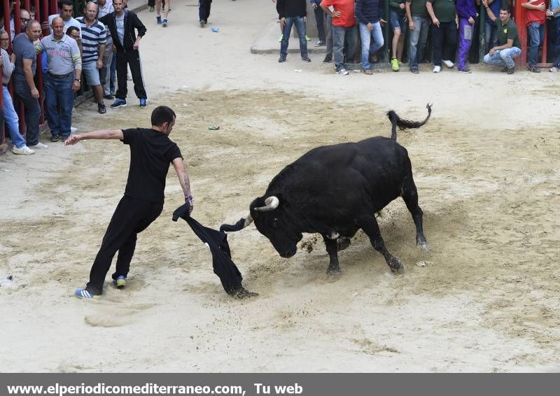 GALERÍA DE FOTOS -- Jornada taurina en Almassora con nombre de torero