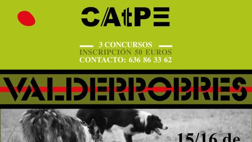 I Campeonato de trabajos de perros pastores de España