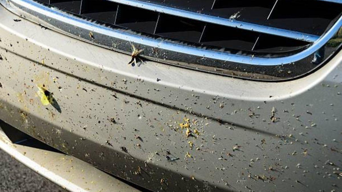 Trucos caseros para eliminar insectos del coche: la toalla y la manzana