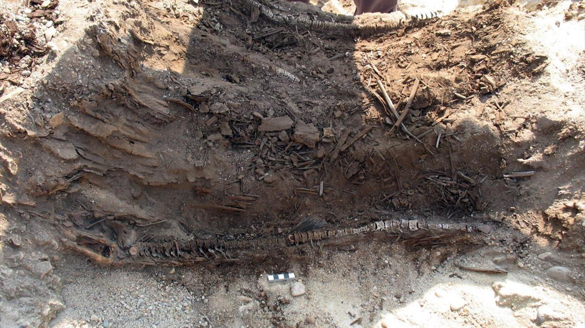 zentauroepp22397153 icult excavacions a l antiga ciutat eg pcia d oxirrinc   a c171016194545