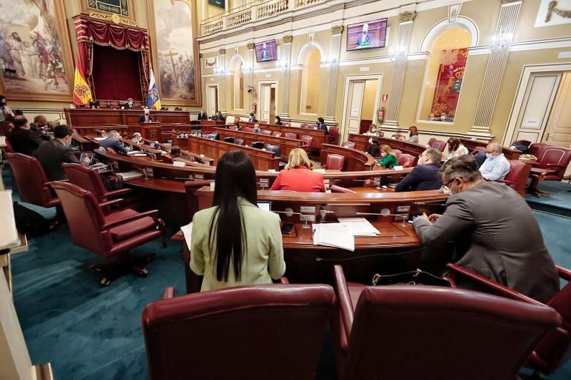 Pleno en el Parlamento de Canarias, 10/11/2021