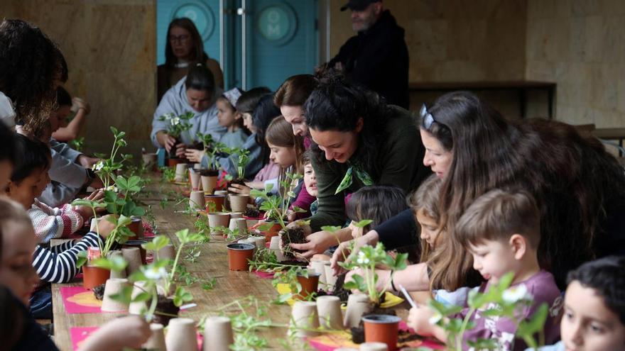 El Mercado de Pontevedra se llena de plantas con los talleres gratuitos de «Ola Primavera!»