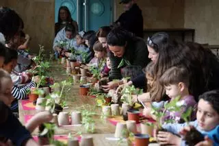 El Mercado de Pontevedra se llena de plantas con los talleres gratuitos de «Ola Primavera!»