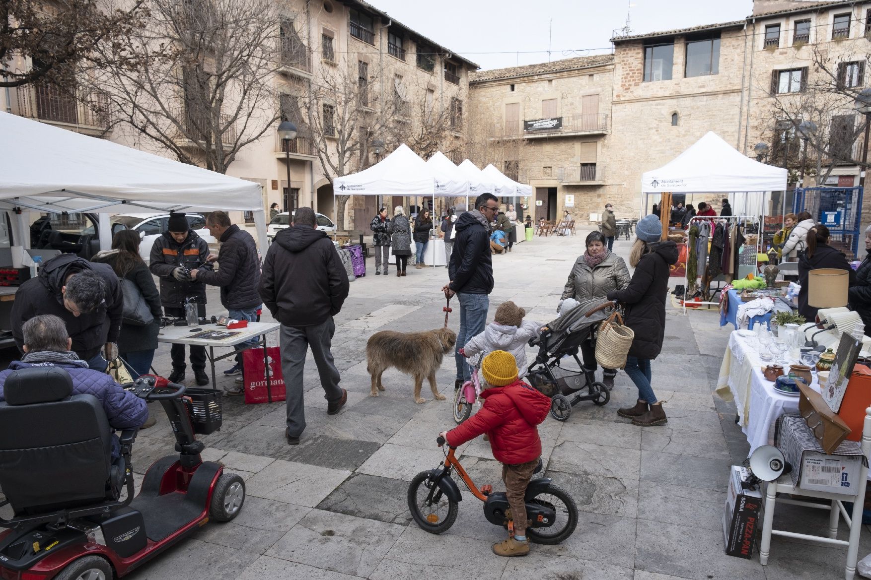 Les millors imatges del mercat de Santpedor