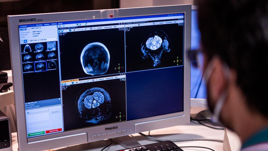 El Hospital La Fe acoge el principal centro de datos e imágenes para combatir el cáncer en Europa