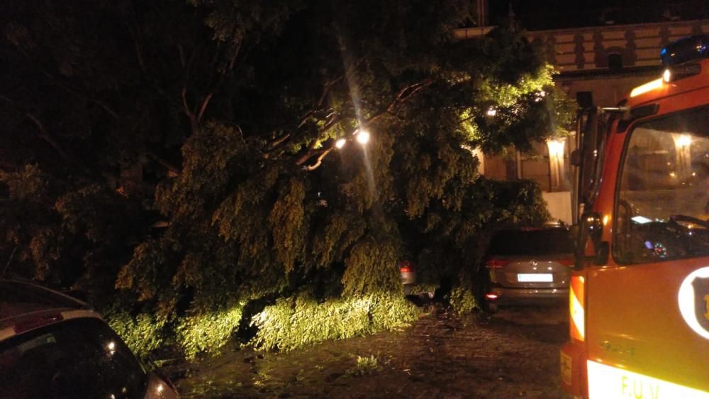 Noche intensa para los bomberos de Málaga capital, que han tenido que acudir por la caída de árboles, ramas e incluso un cable de alta tensión en La Araña.