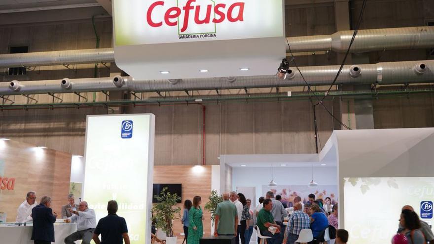 Stand de Cefusa en SEPOR.  | L.O.