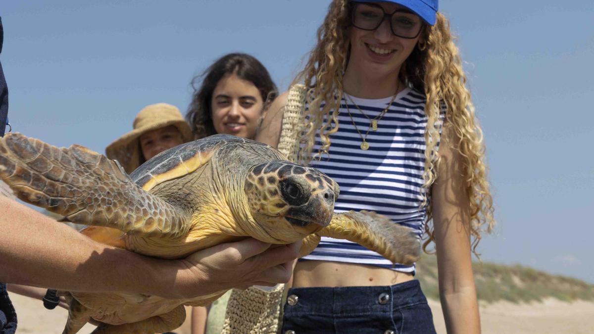 Campaña de sensibilización de tortugas del Oceanográfic