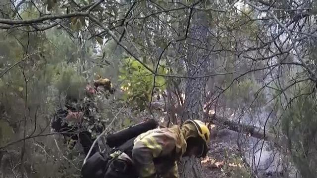 Dos agents combaten les flames al Baix Empordà. | BOMBERS DE CATALUNYA / EFE