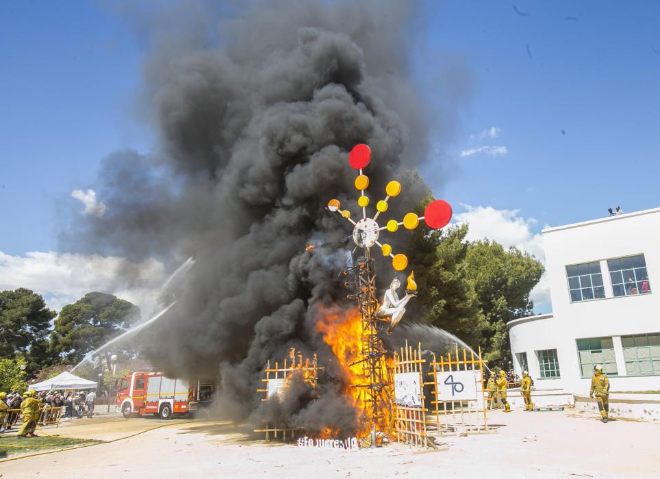 Hogueras en la Universidad de Alicante