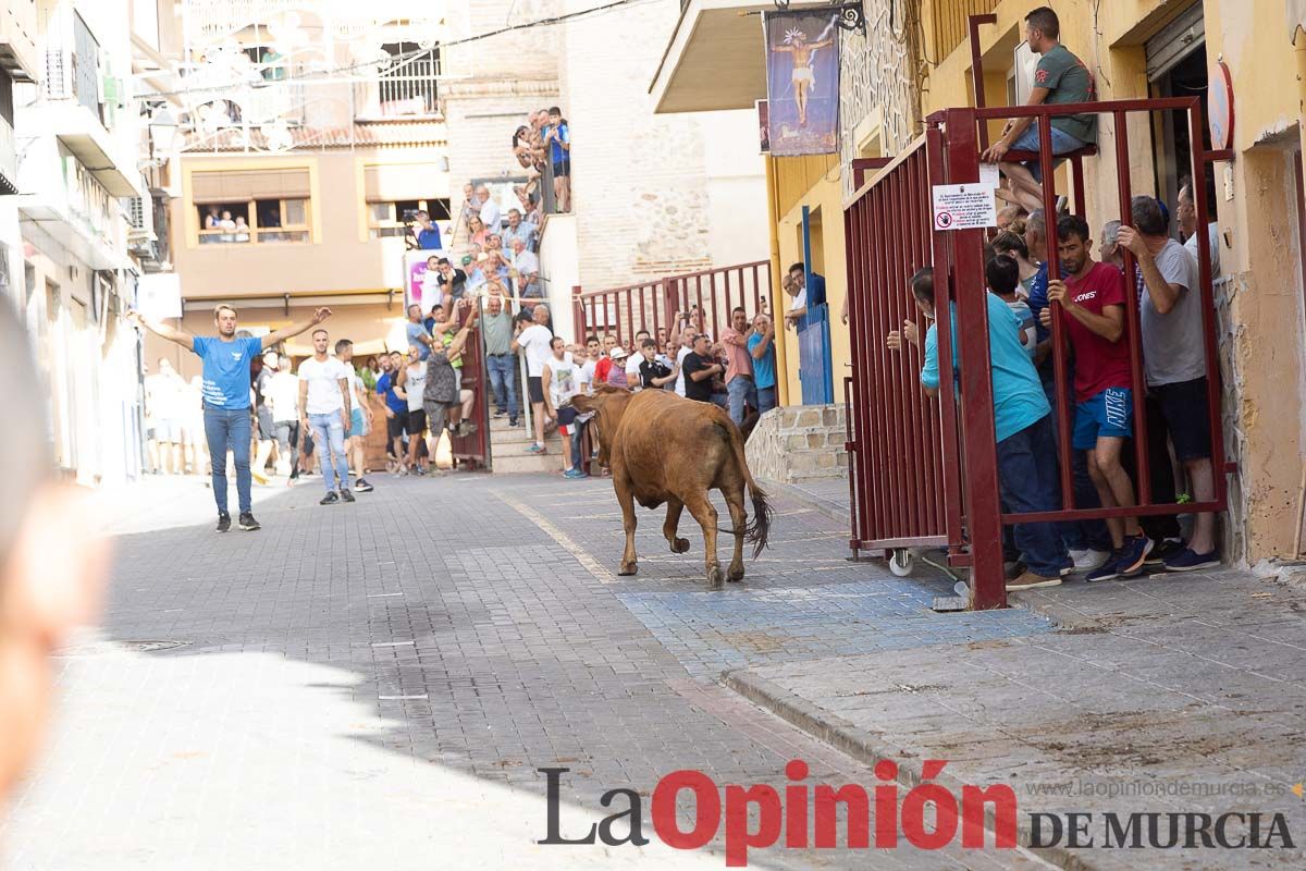 Séptimo encierro de las Fiestas de Moratalla