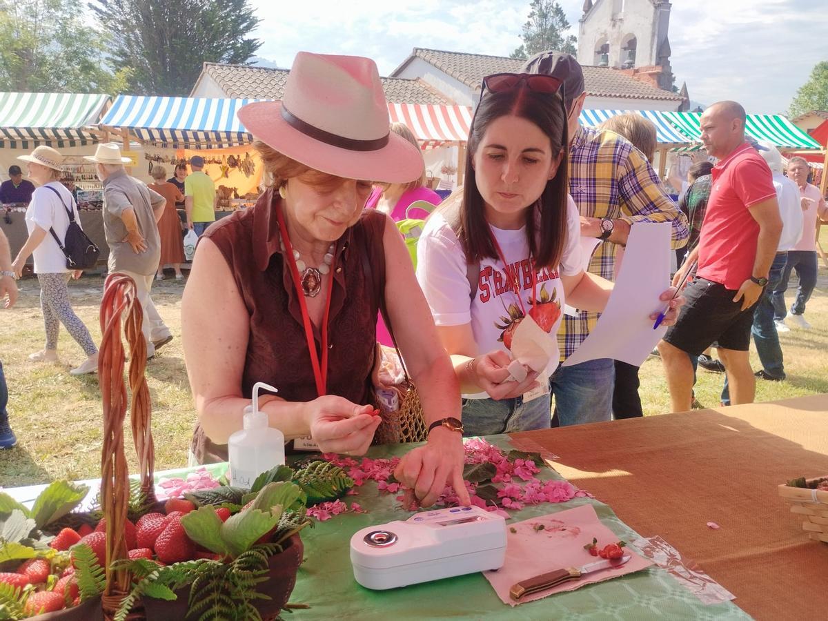 El Festival de la Fresa de Candamo, en imágenes