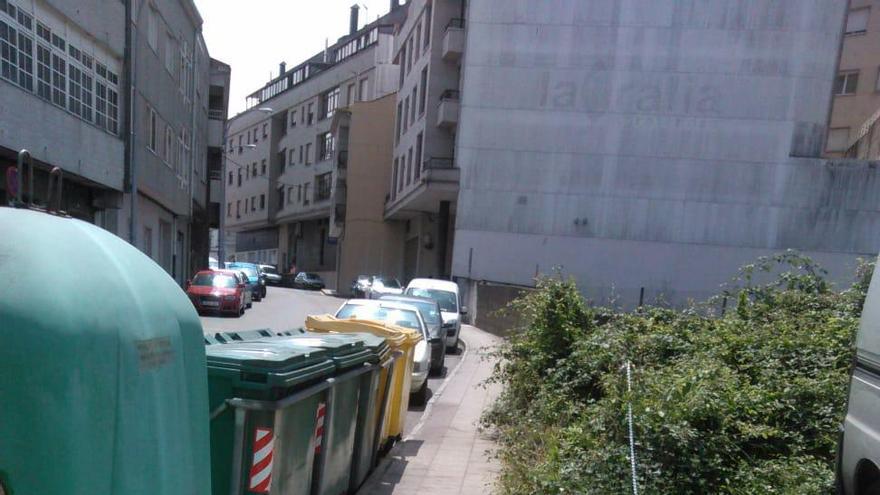 Imagen proporcionada por el PSOE de A Estrada de la maleza procedente de un solar que invade la acera en Gradín.