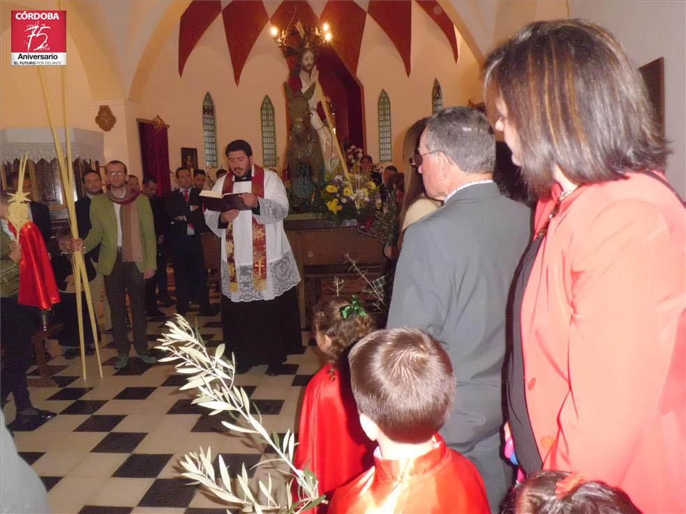 FOTOGALERÍA / El Domingo de Ramos en la provincia