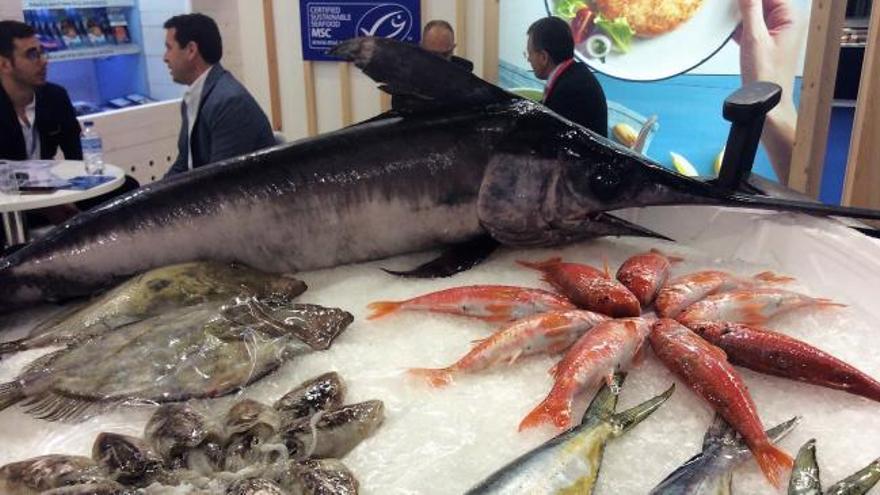 Conxemar Vigo 2018 | Esto es lo que vas a encontrar en el mayor escaparate pesquero del mundo