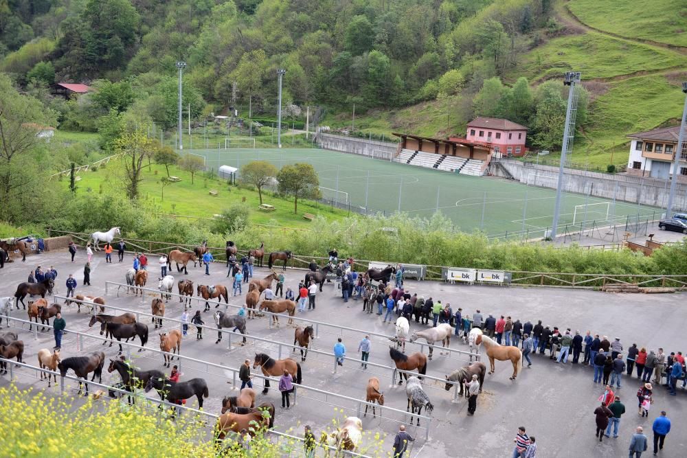 Feria del caballo de Riosa