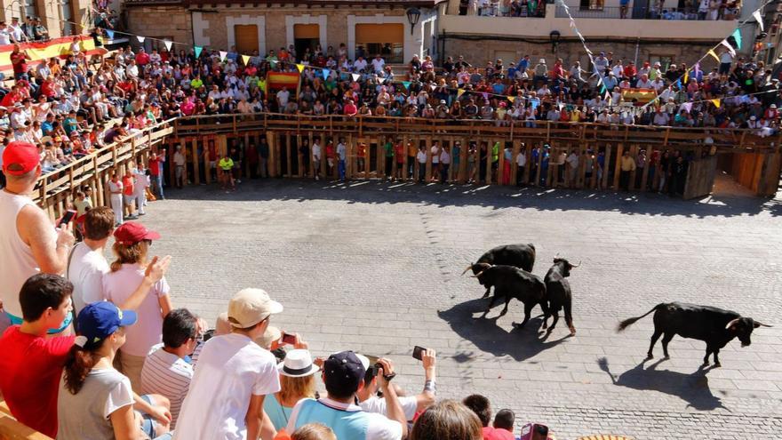 Fermoselle recupera sus corridas de toros en Plaza Mayor