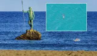 ¿Qué hace un tiburón en las playas de Canarias? Un científico explica la razón y asegura que el peligro es "nulo"